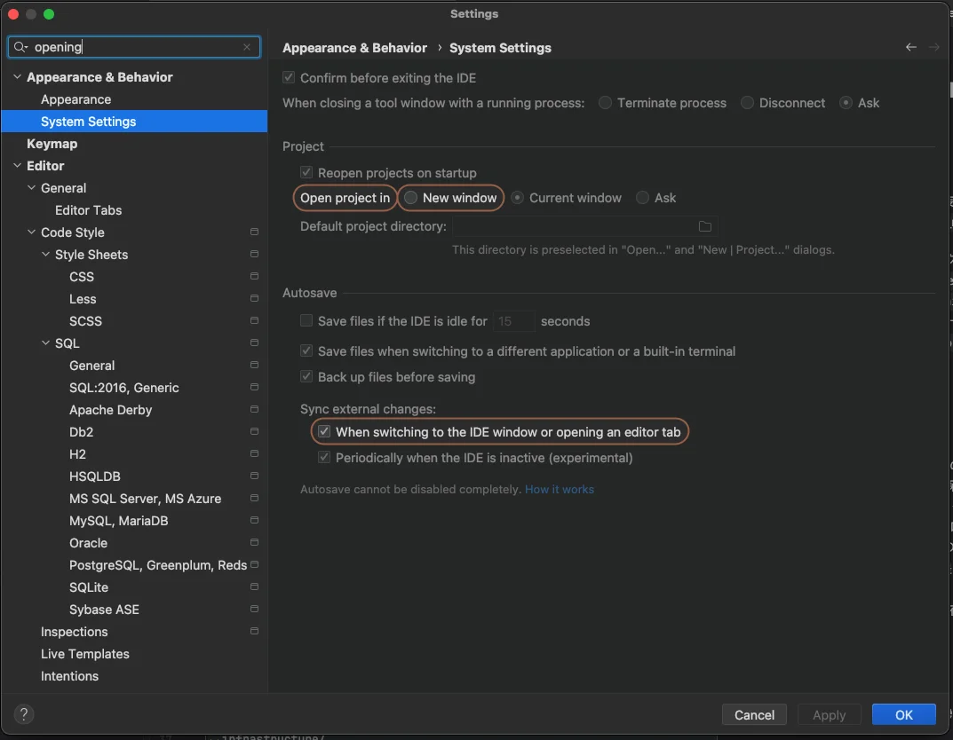 WebStorm の Project Opening 設定